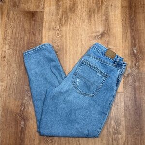 American Eagle Outfitters Light Blue Curvy Mom Jeans Distressed 12 Short